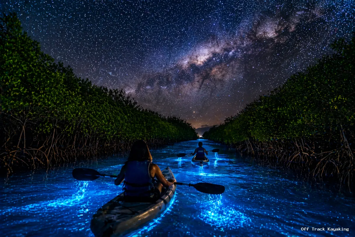 Bioluminescence Kayaking in Havelock Island